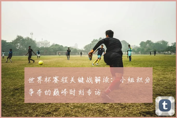 世界杯赛程关键战解读：小组积分争夺的巅峰时刻专访