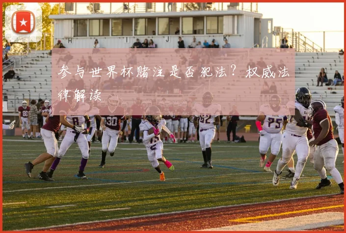 参与世界杯赌注是否犯法？权威法律解读