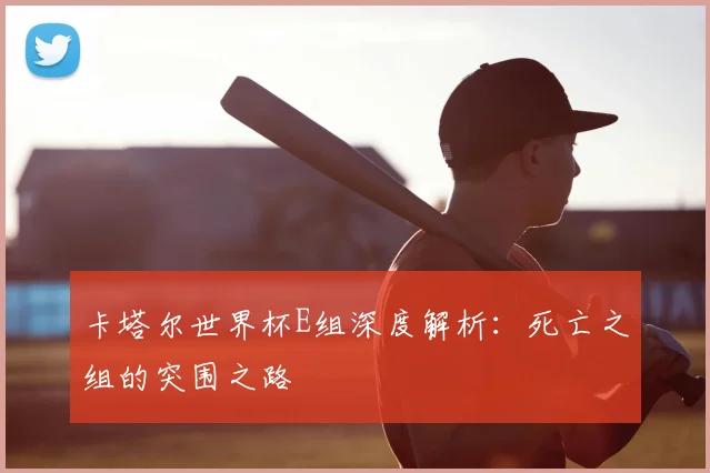 卡塔尔世界杯E组深度解析:死亡之组的突围之路