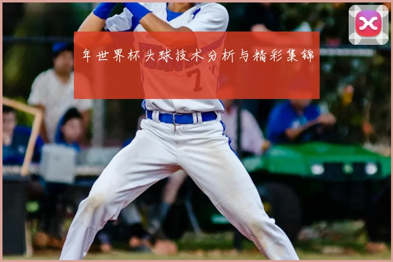年世界杯头球技术分析与精彩集锦