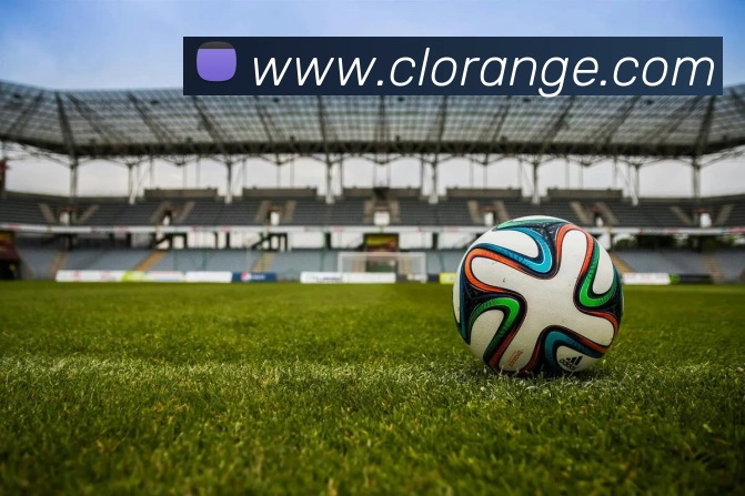 奇异果体育app更名了吗平台生态图